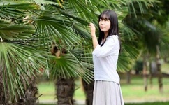 香蕉批发行情网站免费